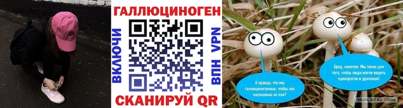 Псилоцибиновые грибы Cubensis  Новосиль 